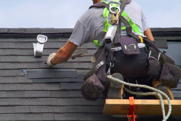 Best Roof Gutter Cleaning  in Lake Linden, MI