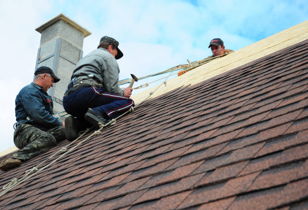 Best Roof Repair Services  in Lake Linden, MI